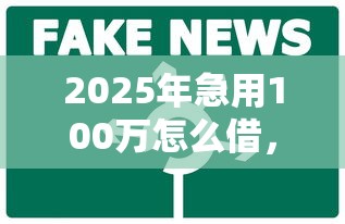 2025年急用100万怎么借，看看这五个比较正规的贷款平台