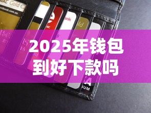 2025年钱包到好下款吗：梳理五个好用的贷款平台