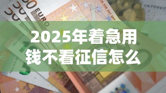 2025年着急用钱不看征信怎么办:整理五个网上贷款平台好 2025年着急用钱不看征信怎么办:整理五个网上贷款平台好