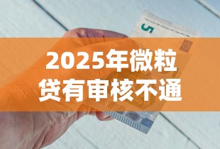 2025年微粒贷有审核不通过,看看这五个官方借钱平台 2025年微粒贷有审核不通过,看看这五个官方借钱平台
