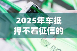 2025年车抵押不看征信的有吗:分享5个网贷最好下款的平台不看征信 2025年车抵押不看征信的有吗:分享5个网贷最好下款的平台不看征信