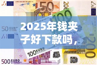 2025年钱夹子好下款吗,看看这五个购物贷款平台 2025年钱夹子好下款吗,看看这五个购物贷款平台