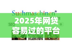 2025年网贷容易过的平台?整合五个黑平台贷款 2025年网贷容易过的平台?整合五个黑平台贷款