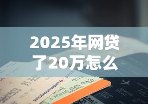 2025年网贷了20万怎么办？公布五个黑户口子