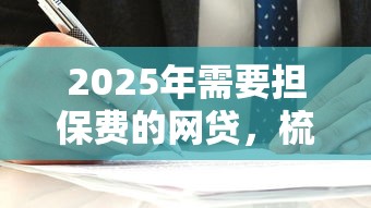 2025年需要担保费的网贷,梳理5个中小企业贷款平台 2025年需要担保费的网贷,梳理5个中小企业贷款平台