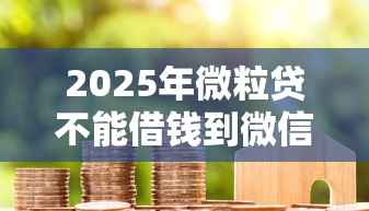 2025年微粒贷不能借钱到微信吗?分享五个黑户成功获取大额贷款的平台 2025年微粒贷不能借钱到微信吗?分享五个黑户成功获取大额贷款的平台