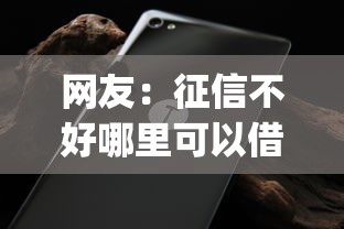 网友：征信不好哪里可以借钱？求介绍几款不看负债和征信的app