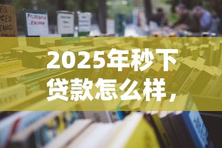 2025年秒下贷款怎么样，整理五个正规网络贷款平台