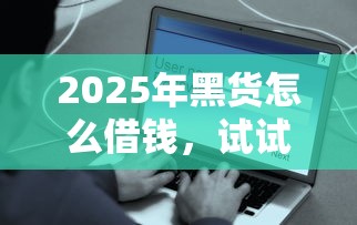 2025年黑货怎么借钱,试试这5个安全正规的贷款平台 2025年黑货怎么借钱,试试这5个安全正规的贷款平台