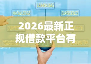 2026最新正规借款平台有哪些，总结十个借钱好通过率高平台！