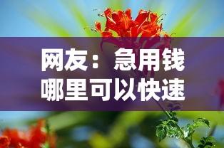 网友:急用钱哪里可以快速借到?求介绍几款和乐享花一样的平台 网友:急用钱哪里可以快速借到?求介绍几款和乐享花一样的平台