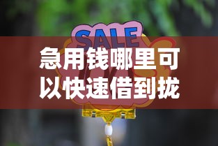 急用钱哪里可以快速借到拢共有哪些选择?6个1000至5000的小额贷款口子详解 急用钱哪里可以快速借到拢共有哪些选择?6个1000至5000的小额贷款口子详解