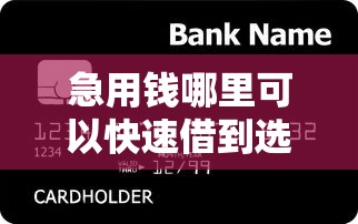 急用钱哪里可以快速借到选哪个平台?5个黑户可快速办理小额贷款业务的软件推荐 急用钱哪里可以快速借到选哪个平台?5个黑户可快速办理小额贷款业务的软件推荐