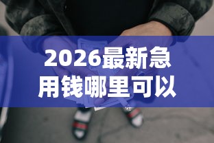 2026最新急用钱哪里可以快速借到，总结十个网贷秒拒能下款的口子！