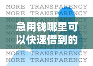 急用钱哪里可以快速借到的话，可以看看这6个黑户呆账逾期能下的口子