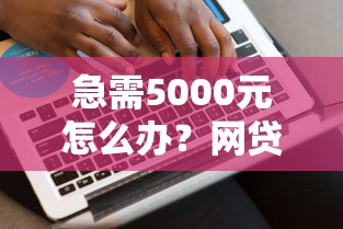急需5000元怎么办？网贷平台哪个好下款试试这5个无门槛平台