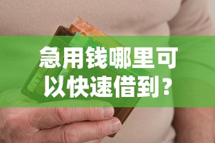 急用钱哪里可以快速借到？十个逾期也不怕的61岁能申请那些网贷平台