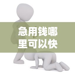 急用钱哪里可以快速借到？2000元无门槛借款平台推荐，5个无视一切包下款5000秒下款的平台盘点