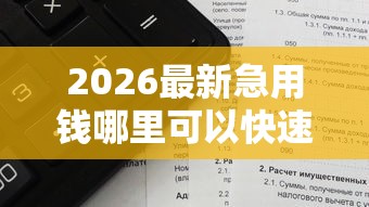 2026最新急用钱哪里可以快速借到（支持微信），6个被执行人下款口子无私分享