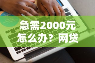 急需2000元怎么办?网贷平台哪个好下款试试这5个无门槛平台 急需2000元怎么办?网贷平台哪个好下款试试这5个无门槛平台