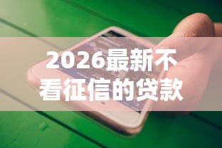 2026最新不看征信的贷款平台（支持微信），6个晚上能秒下款的高炮口子无私分享