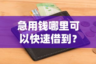 急用钱哪里可以快速借到?2026最新测评10个不看征信查询的软件 急用钱哪里可以快速借到?2026最新测评10个不看征信查询的软件