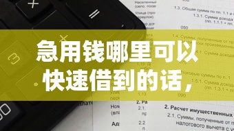 急用钱哪里可以快速借到的话,可以看看这8个不看负债查询的口子 急用钱哪里可以快速借到的话,可以看看这8个不看负债查询的口子