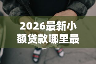 2026最新小额贷款哪里最可靠，总结十个黑户网贷必下款的平台！