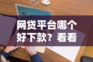 网贷平台哪个好下款？看看这5个花户借款平台容易通过怎么样