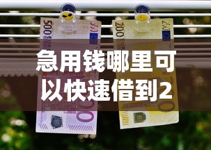 急用钱哪里可以快速借到2000元无门槛本月借款平台力荐!分享小额网贷口子2000元无门槛借款 急用钱哪里可以快速借到2000元无门槛本月借款平台力荐!分享小额网贷口子2000元无门槛借款