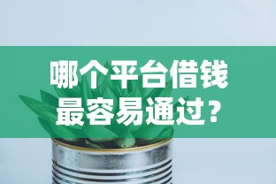 哪个平台借钱最容易通过？2026最新测评10个2025大花户放水秒下款的口子