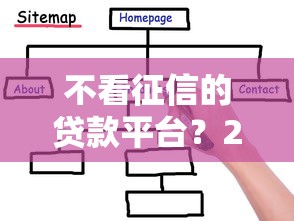 不看征信的贷款平台？2026最新测评10个黑白贷款必过的软件